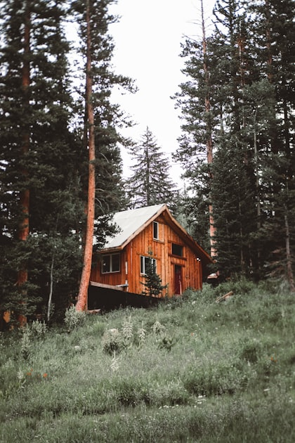 Discover Ponderosa Park Homes